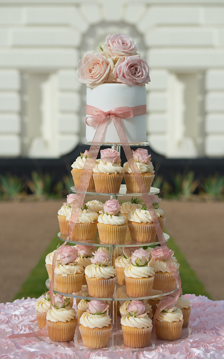 2 Tiered Wedding Cake + Cupcakes + Mini Cakes 